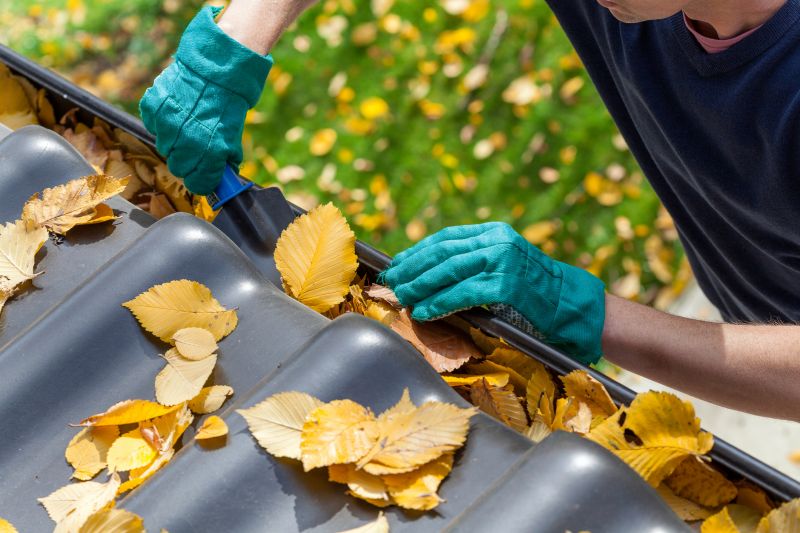 Fall Gutter Maintenance
